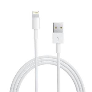 Câble Lightning vers USB (0,5 m)