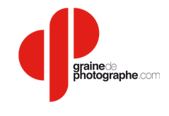 logo-graine